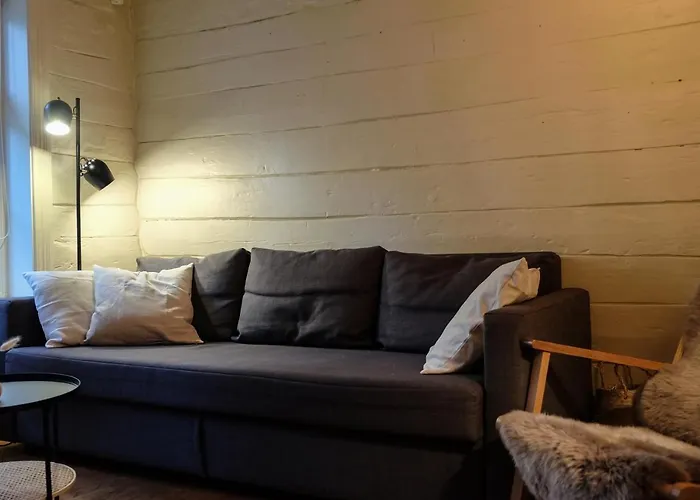 Charming House, Rare Historic House From 1779, Whole House Appartement Bergen